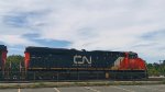 CN 2991